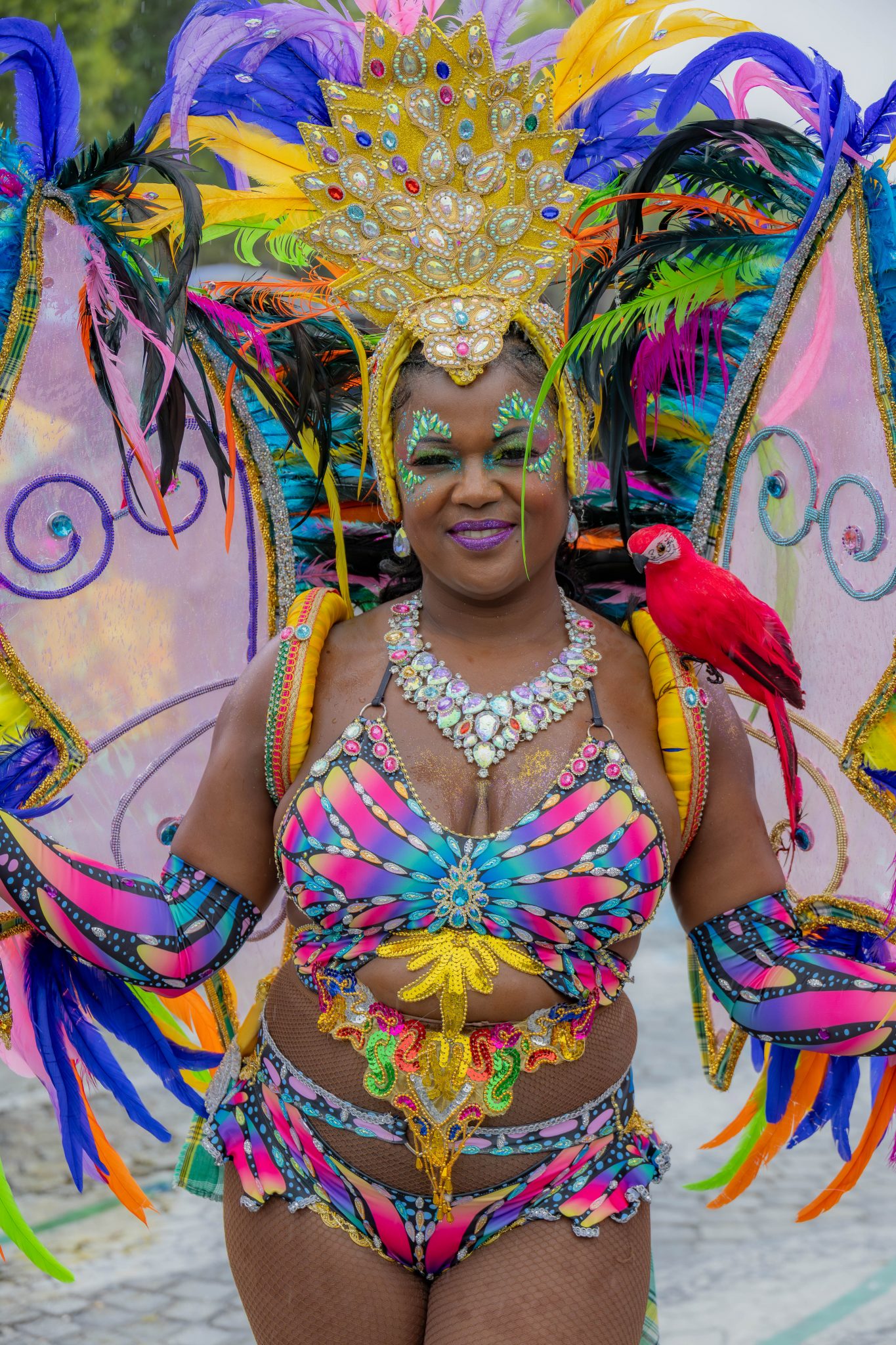 carnaval tropical de paris 7