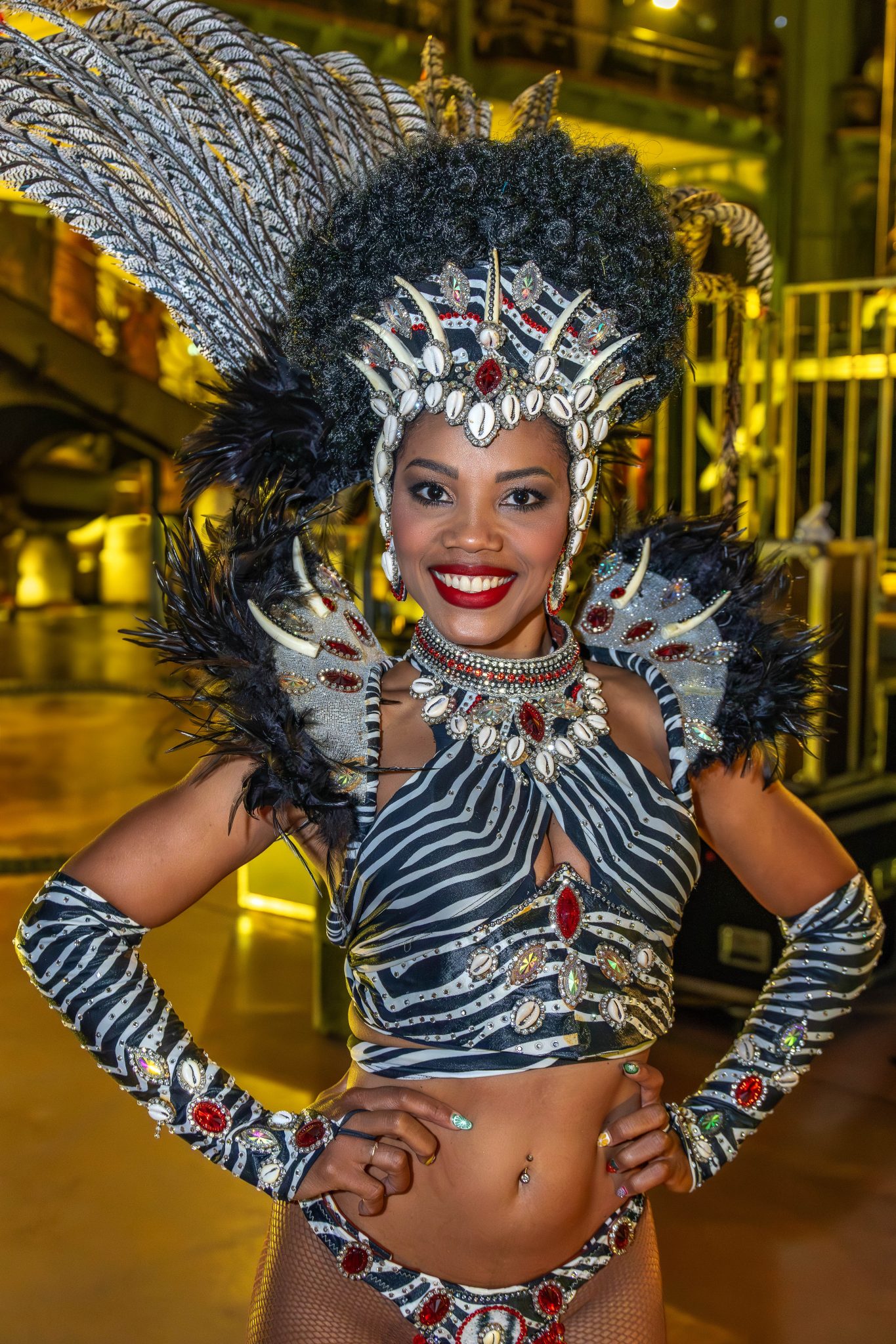 carnaval tropical de paris 9